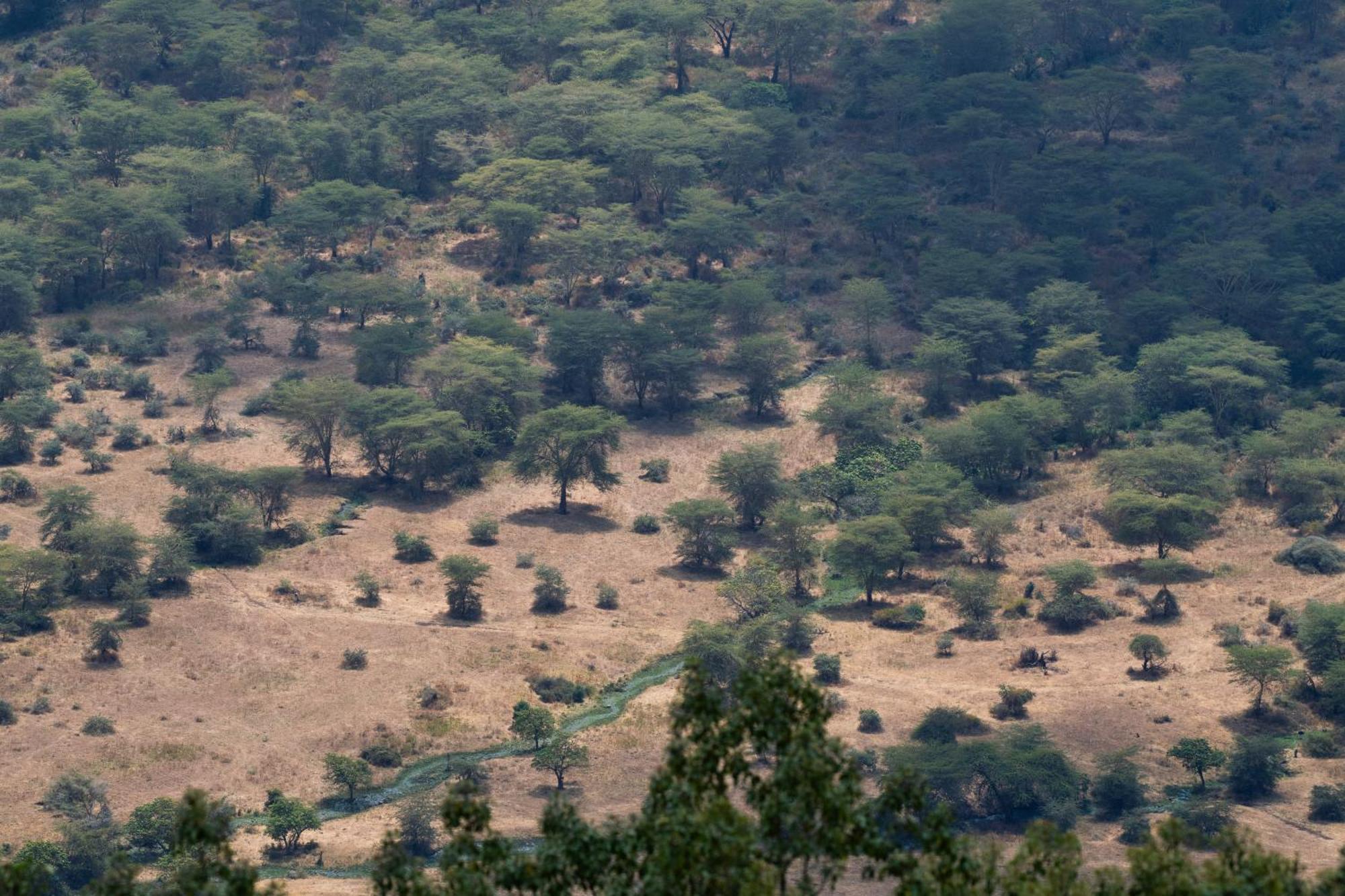 Ngorongoro Lodge Member Of Melia Collection - The Leading Hotels Of The World Zewnętrze zdjęcie