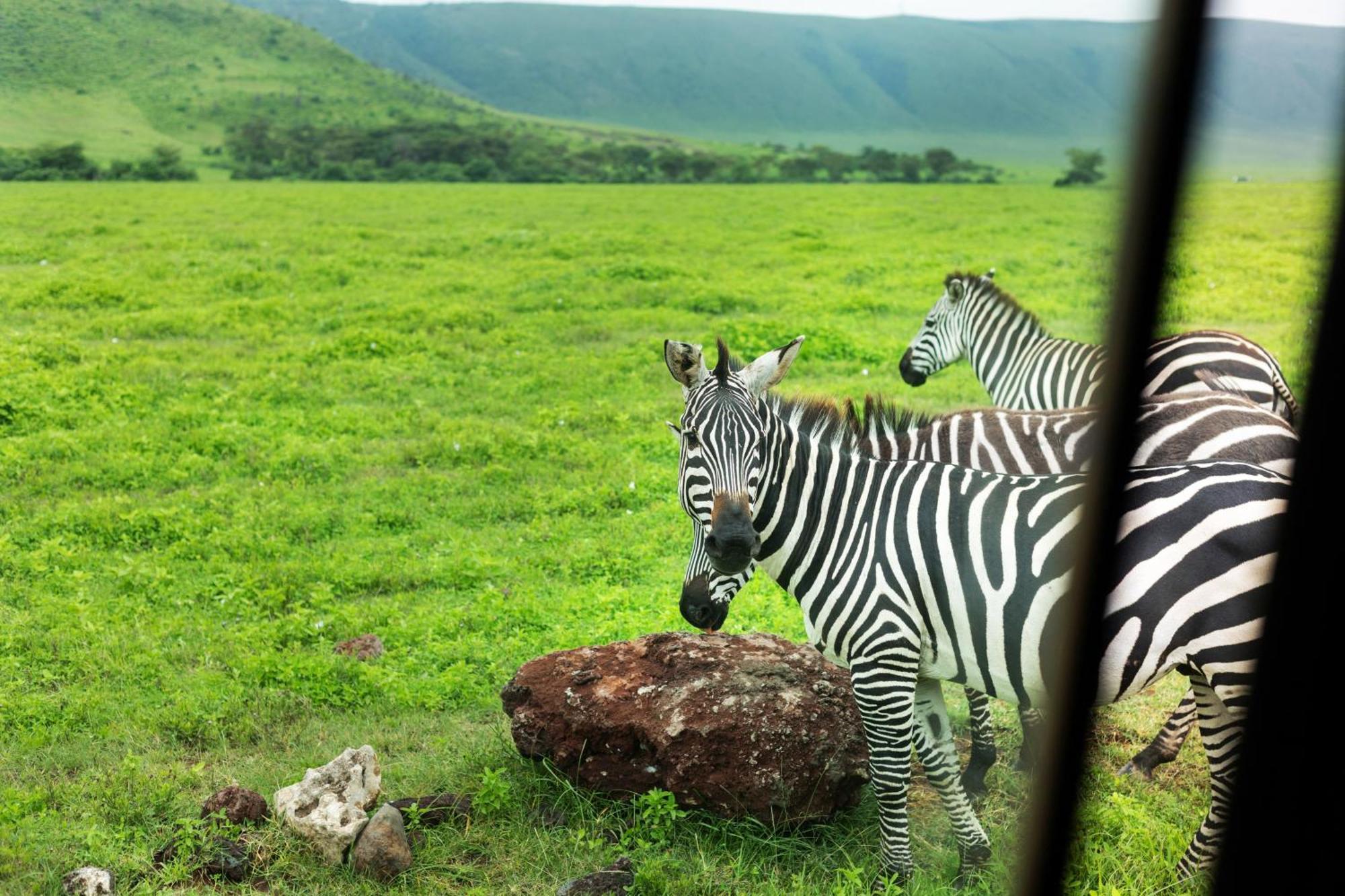 Ngorongoro Lodge Member Of Melia Collection - The Leading Hotels Of The World Zewnętrze zdjęcie