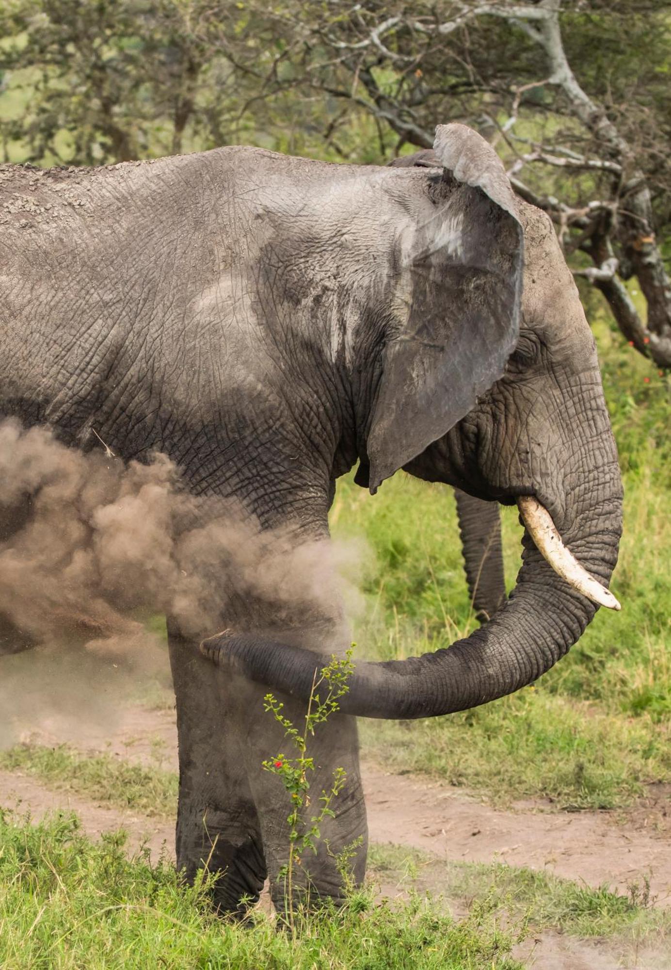 Ngorongoro Lodge Member Of Melia Collection - The Leading Hotels Of The World Zewnętrze zdjęcie